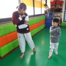 브레인움 중원태권도 이미지