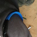 부여농협주유소 이미지