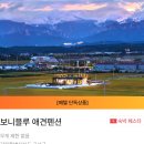 강원도 애견동반 펜션 보니블루 페텔 예약 후기