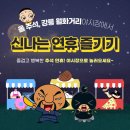 강릉월화거리 이미지