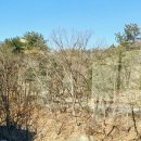 일팔일구 이미지