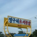 꽃밭주유소 이미지