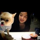 핑키 - 포항시 북구 | 핑키