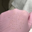 솜 에스테틱 이미지