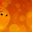 국제어린이집 1층 이미지