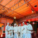 버블스타 이미지