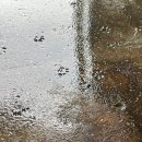 부기로와