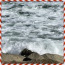 브런치요리 이미지