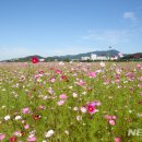 오남2리 이미지