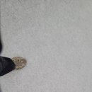 온양생태 이미지