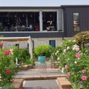 제이알랜드 이미지