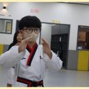 용인대대영태권도 이미지