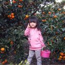 민아농장 이미지