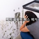 秀건축인테리어 이미지