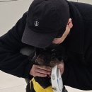 밤비동물병원 이미지