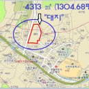 한반도면-3 이미지