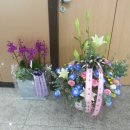 대양물류 이미지