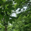 첫물내기야영장 이미지