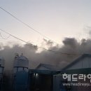 한림읍 마리 헤드라인제주