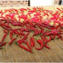 신일상사 이미지