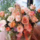 상남동254 이미지