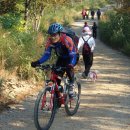 거북이주유소 이미지