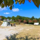 진거리농원 이미지