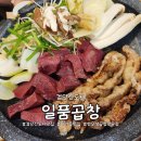 신도시로 | 아라동 맛집 일품곱창 검단신도시점 내돈내산 방문 후기