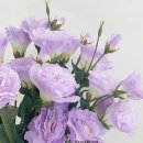 해뜨는집 이미지