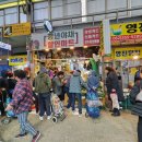 말바우청년야채