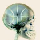 씨티극장 이미지