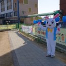 청기와체육교실 이미지