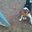 만땅농장 이미지