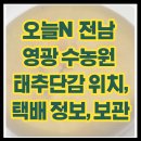 수농원 | 오늘N 전남 영광 수농원 태추단감 위치, 택배 정보, 보관법까지