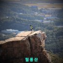 유모🤣7080 이미지