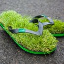 그린디자인 이미지
