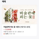 서면미술관 미술관에 피는 꽃II 관람후기 나라는 꽃이 피어날때