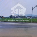 인천광역시 강화군 양도면사무소 이미지