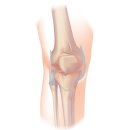 보인한의원 이미지