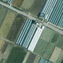 인수다육 이미지