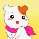 솔헤어샵 - 원주시 | 솔헤어샵