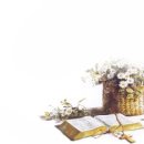 방배2동113 이미지