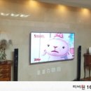티비원
