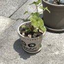 진이당구장 이미지