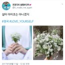 빅히트 트위터 컴백 포스터- LoveYourself 정국 편 + 미국 아이하트 라디오 트윗 이미지