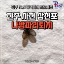 하대어린이집 | 진주 나방파리퇴치, 더 늦기 전에 해결하세요!