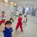 태양태권도 이미지