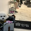 숨인짐 | 잘하는곳없나?고민노노노!숨인짐 헬스&amp;PT 에서 운동하세요 제 찐찐찐 체험후기!산본 최강 헬스장 찾았다!