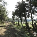 시흥상동로 이미지