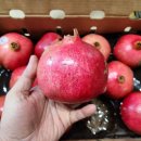 여성에게 좋은 과일 석류!!! 이미지